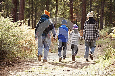 Parents and three children walking in a forest, back view Stock Photo