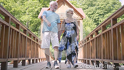 Pares maduros felizes que andam na ponte que guarda as mãos Mulher superior elegante no vestido do verão e na sua despesa do mari vídeos de arquivo Pares maduros felizes que andam na ponte que guarda as mãos Mulher superior elegante no vestido do verão e na sua despesa do mari vídeos de arquivo