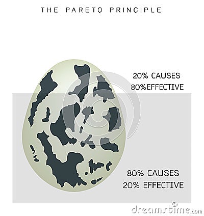 Pareto Principle or Law of The Vital Few 80/20 Rule Vector Illustration