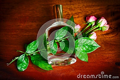 Parfume bottle with rose Stock Photo