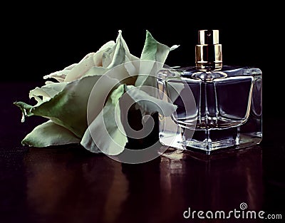 Parfume bottles with rose Stock Photo