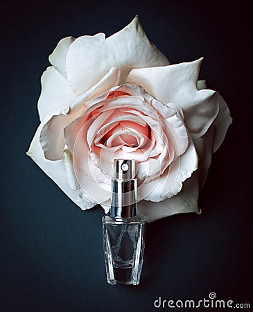 Parfume with white rose Stock Photo