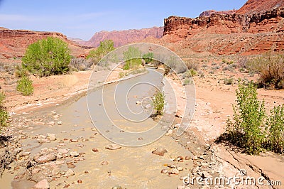 Paria Canyon River Stock Photo