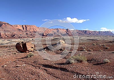 Paria Canyon-Vermilion Cliffs Wilderness, Utah,USA Stock Photo