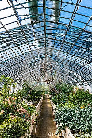 Paris, the Auteuil greenhouses Stock Photo