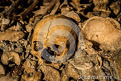 Paris Catacombs Skull Stock Photo