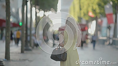PARIS, FRANCE-JULY 23,2015 : Femme dans une robe allant le long de la rue le 23 juillet 2015 à Paris, France banque de vidéos PARIS, FRANCE-JULY 23,2015 : Femme dans une robe allant le long de la rue le 23 juillet 2015 à Paris, France banque de vidéos