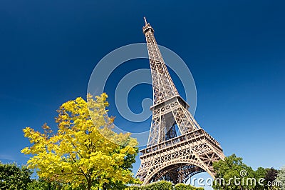 Eiffel Tower from the Champ de Mars gardens in summer. Stock Photo