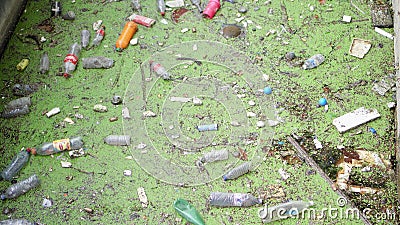 PARIS, FRANCE VERS en août 2017 : Problème d'écologie - contamination de l'eau Catastrophe environnementale PARIS, FRANCE VERS en août 2017 : Problème d'écologie - contamination de l'eau Catastrophe environnementale