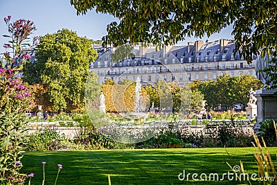 Aisles and pond of the Tuileries Garden in summer Stock Photo