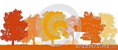 Park in autumn, beautiful silhouettes autumn trees. Vector illustration Vector Illustration