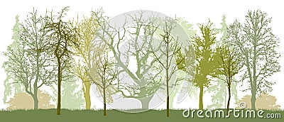 Park bare trees in spring silhouette. Vector illustration Vector Illustration