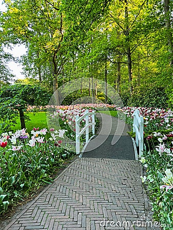 Park with beautiful flowers and bridge over canal. Spring season Stock Photo