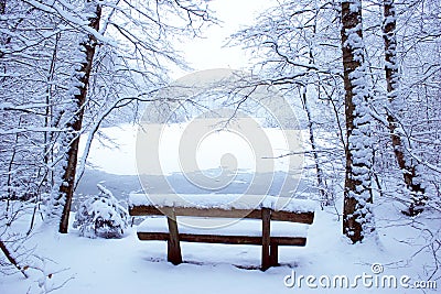 Park bench Stock Photo