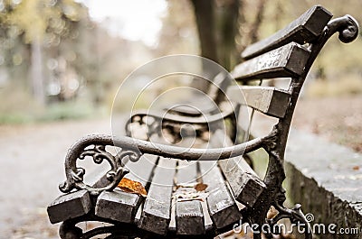 Wooden Park bench in the autumn. Stock Photo