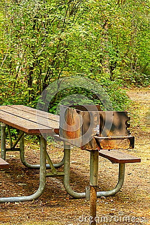 Park bench and barbaque sitting unused along the edge of a fores Stock Photo