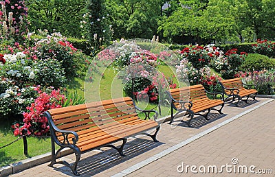 Park bench flower garden Stock Photo