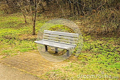 Park Bench By a Local Greenway Stock Photo