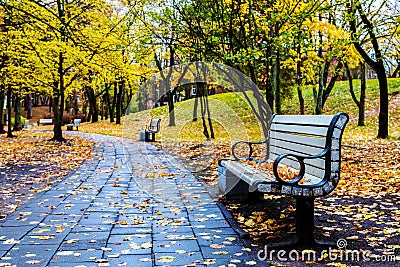 Park bench Stock Photo