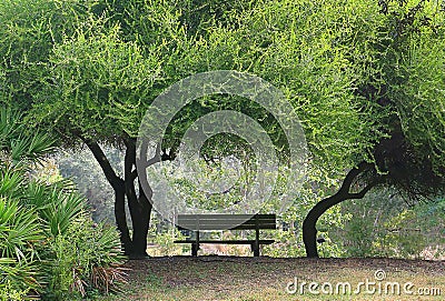 Park Bench In The Shade Stock Photo