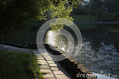 Park at dawn. Near city lake. Greenery in summer in city Stock Photo