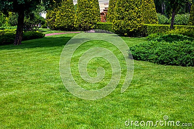 A park with evergreen arborvitae thujas and evergreen hedge among the deciduous trees. Stock Photo