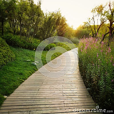 Park golden path Stock Photo