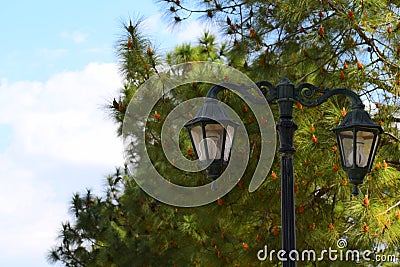 Park lamp with beautiful behind view Stock Photo