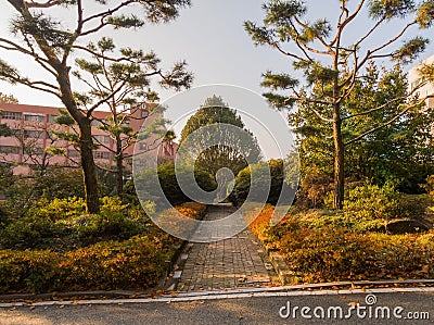 Park like setting with a brick walkway Stock Photo