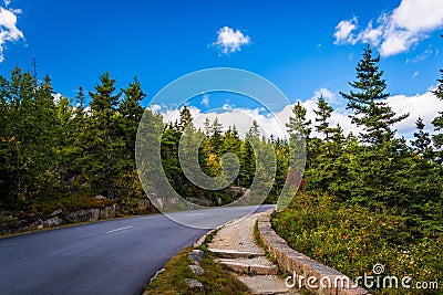 The Park Loop Road in Acadia National Park, Maine. Stock Photo