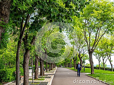 Park with lots of greenery in Burgas, Bulgaria Editorial Stock Photo