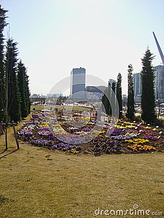 a park with many flowers Editorial Stock Photo