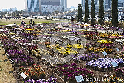 a park with many flowers Editorial Stock Photo