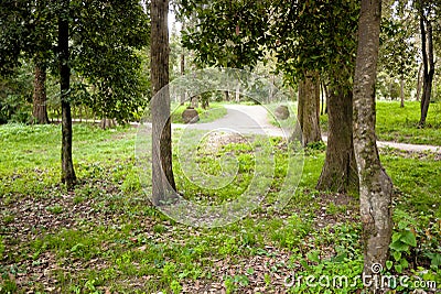 Park of Mon Repo in Corfu Stock Photo