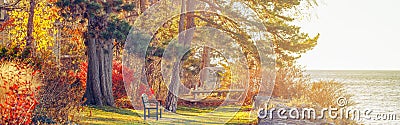 Park with one lonely old bench on bank shore near water lake. Web header banner for website Stock Photo