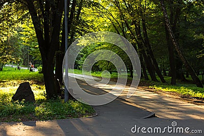 Park outdoor dramatic moody scenic view asphalt road walking oath way in autumn season sun rise morning time with rays of light Stock Photo