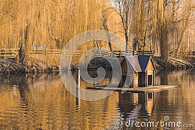 Park outdoor pond water October golden season of autumn time bird cabin Stock Photo