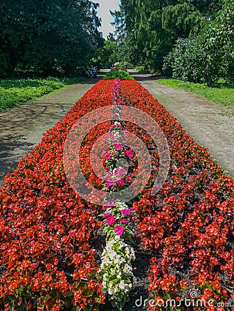 Park pathway and colorful flower path between Stock Photo