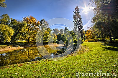 Park with pond during autumn Stock Photo