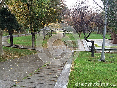 Park after rain Stock Photo
