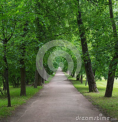 Park with road Stock Photo