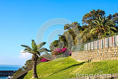 Park Santa Catarina, Funchal, Madeira Stock Photo