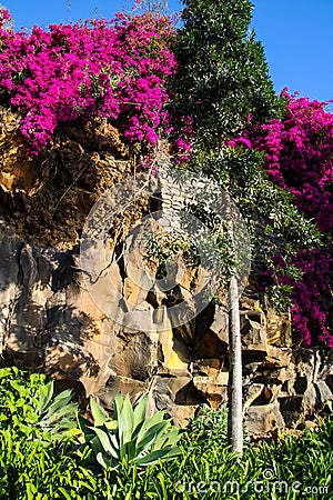 Park Santa Catarina , Funchal, Madeira Stock Photo