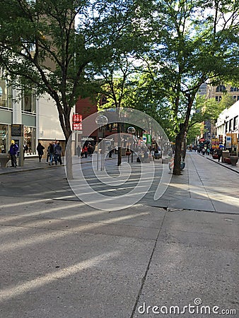 Park Shopping in Downtown Denver, 16th Street Editorial Stock Photo