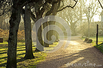 Park in spring time Stock Photo