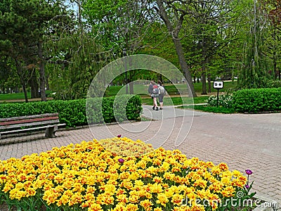 Park with spring tulips in bloom Editorial Stock Photo