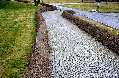 park there are hedges of evergreen shrubs. benches stand along the sidewalk in the square. granite tiles mosaic. shrubs pruning a Stock Photo