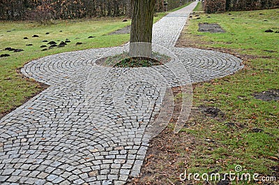 In the park there is a path surrounding a tree growing directly in the compositional axis of the historic garden. The cobblestones Stock Photo