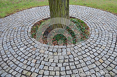 In the park there is a path surrounding a tree growing directly in the compositional axis of the historic garden. The cobblestones Stock Photo