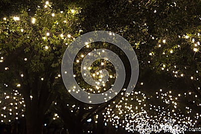 Park trees covered with bulb string lights. Stock Photo